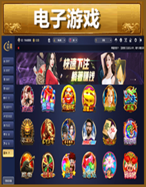 电子游戏
